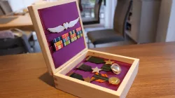 Wing Commander Medal Set
