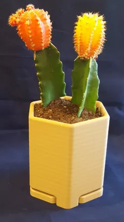 1 Hex Flower Pot