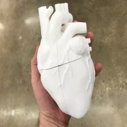 Animatronic Heart
