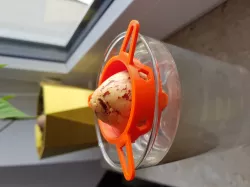 Avocado Seed Holder