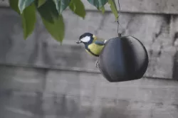 Bird feeder Sphere