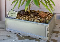Bonsai pot