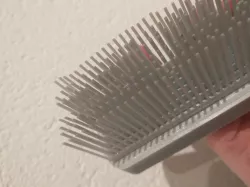 Brush Shoe Brush