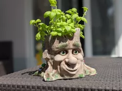 Cartoon-Style Tree Face Planter