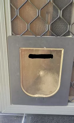 cat / dog door