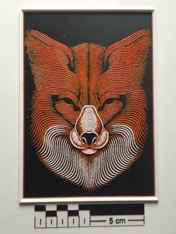 Fox Face - Patrick Seymour