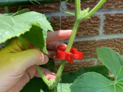Gardening clip