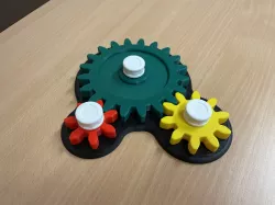 gear model / Zahnradmodell