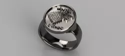GoT-inspired sigil ring