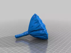Lotus seedpod（generated by revopoint pop）