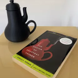 Masochist's Teapot - Don Norman