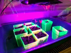 Mini seed starting cup/pot