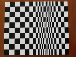 Movement In Squares Op Art
