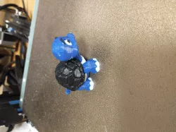 Multicolor Turtle