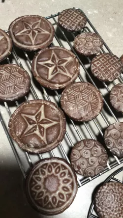 Nautical Star Cookie Cutter Stamp