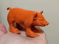 Pig with Human Feet