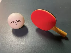 Ping Pong Paddle
