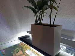 Plan Pot for Aquarium