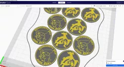 Pokemon Go Community Day #41 coin - Gible