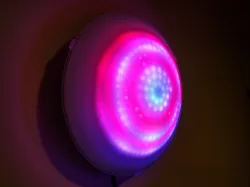 Psilocybe - Dome with 241 WS2812 RGB LEDs on 9 rings