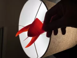 Rocket Espresso Cup