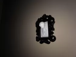 Skeleton privacy door pin and holder
