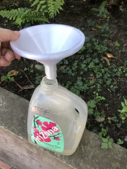 Sugar Funnel