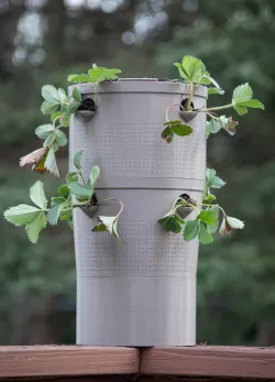 Super Self Watering Planter