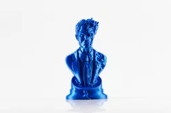 Two Face bust