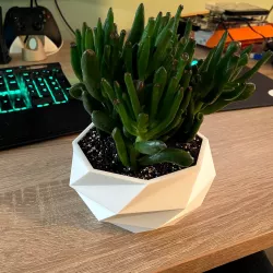 Wide Low Poly Planter with water chamber