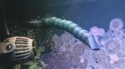 WM Biocube Locline Flow