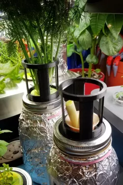AeroJar with plant support
