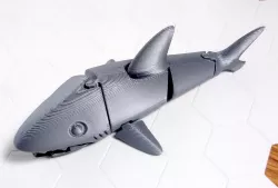 Articulated Shark