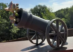 CannonPot - Succulent planter