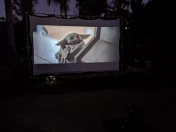 Collapsible Projector Screen