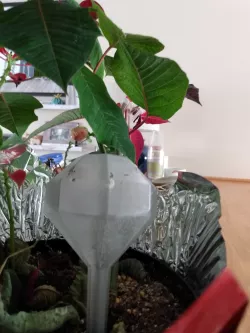 Customizable plant watering bulb