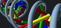 DNA Model