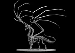 Dragon Skeleton