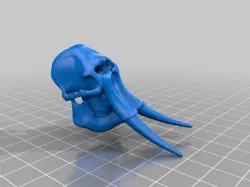 Elephant Skull