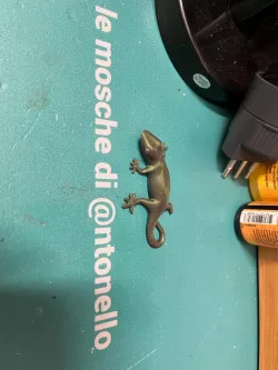 Gecko Keychain