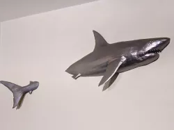 Great white shark wall mount