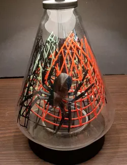 Halloween Spider Cat Desk Lamp