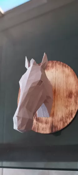 Horse head fuzzy skin