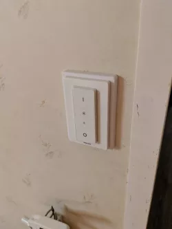 Hue light switch mount