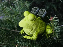 Hypno Missile Toad