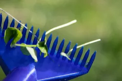 Lawn Weed Puller