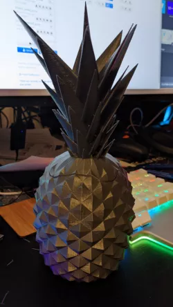 Pineapple Container