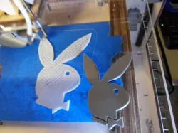 Playboy bunny