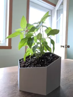 Poly Flower Pot
