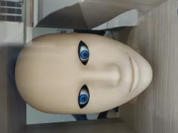 Remix of the Eye animatronic (with creepy human face)